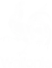 Logo wallonie blanc