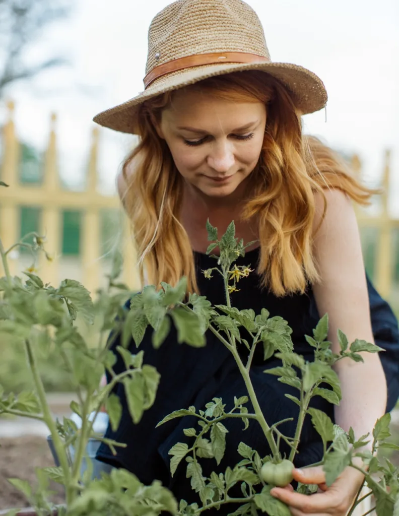 Transition alimentaire green right