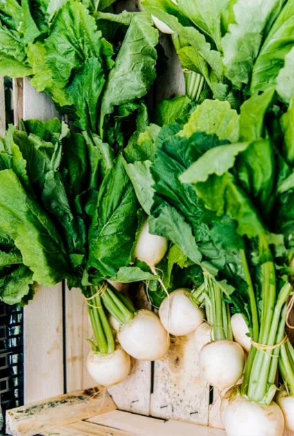 Home transition alimentaire